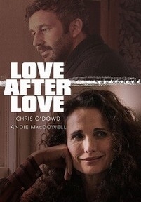 Одна любовь за другой — Love After Love (2017)