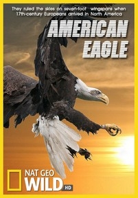 National Geographic. Белоголовый орлан — American Eagle (2009)