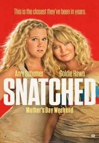 Дочь и мать её — Snatched (2017)
